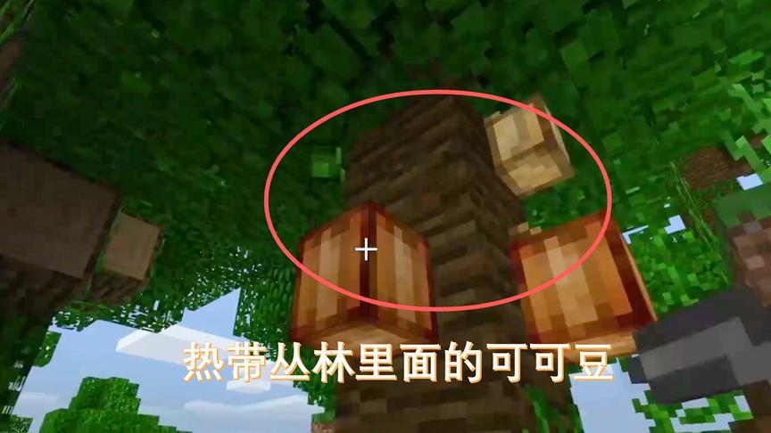 我的世界40：我拿着地图继续野外探险，在热带丛林摘了很多可可豆
