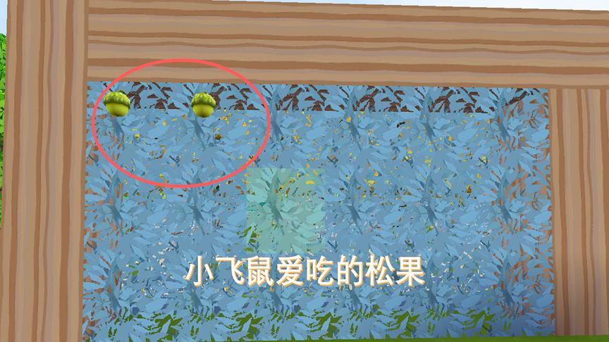 迷你世界231：我用落叶松树叶种植了松果，等以后喂小飞鼠坐骑