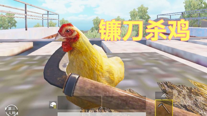 刺激战场：绝地杀鸡不是梦 玩家拿镰刀威胁吉利鸡 乖乖给第一名