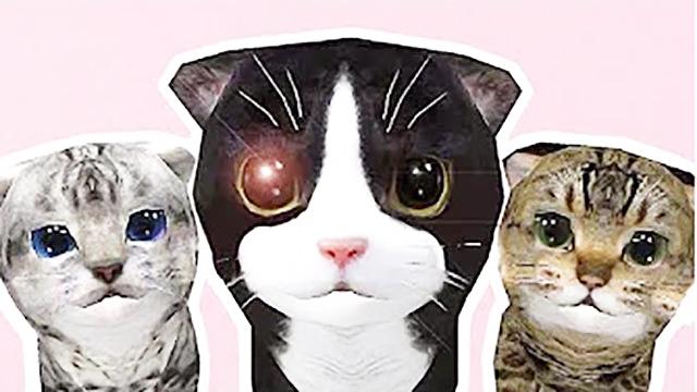 魔哒搞笑神奇猫咪 运用天神之力比二哈能拆家