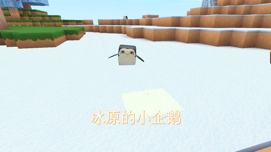 迷你世界234：我试了很多方法，还是没能把这些小企鹅带回家