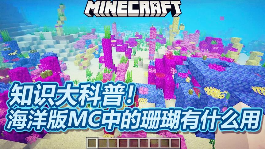 我的世界海洋版：知识大科普！给大家介绍一下海洋中珊瑚的作用！