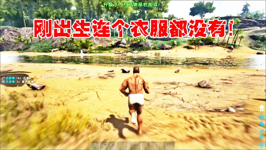 原始人生存：来到了一座恐龙荒岛从此踏上原始人生