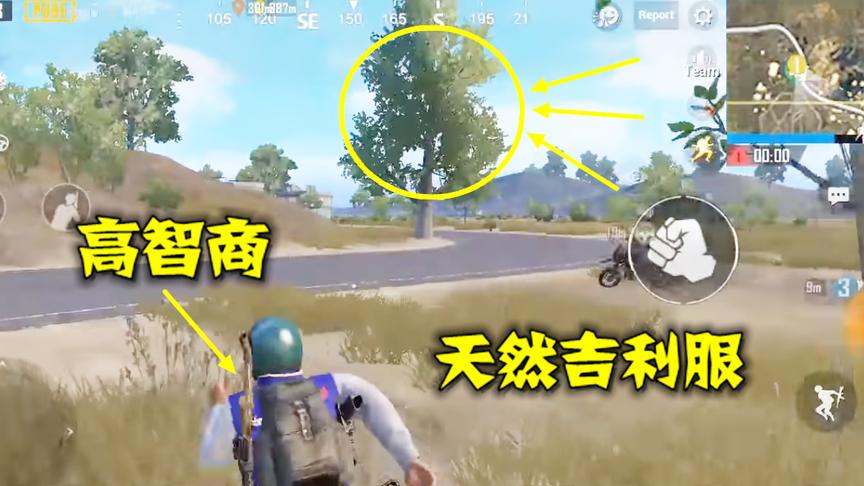 刺激战场：原来吃鸡中的树，也是能爬上去的，但得掌握这个技巧