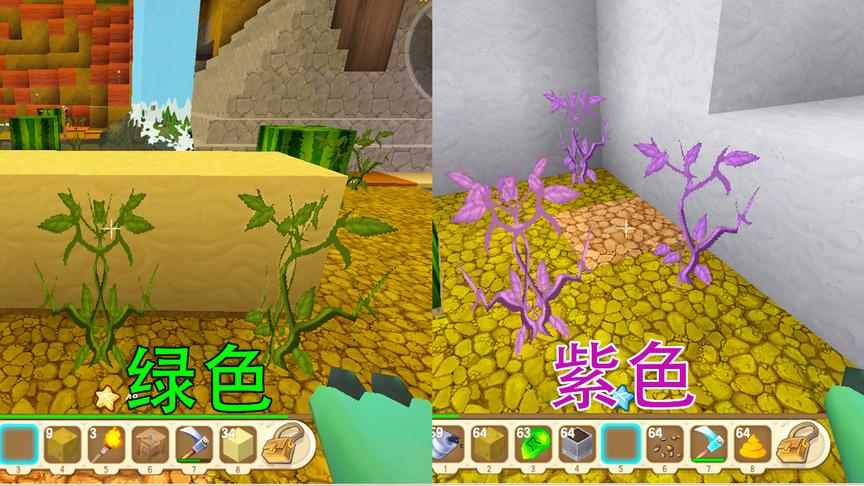 迷你世界：在月球种西瓜，没料到种子变异了，由绿色变成了紫色
