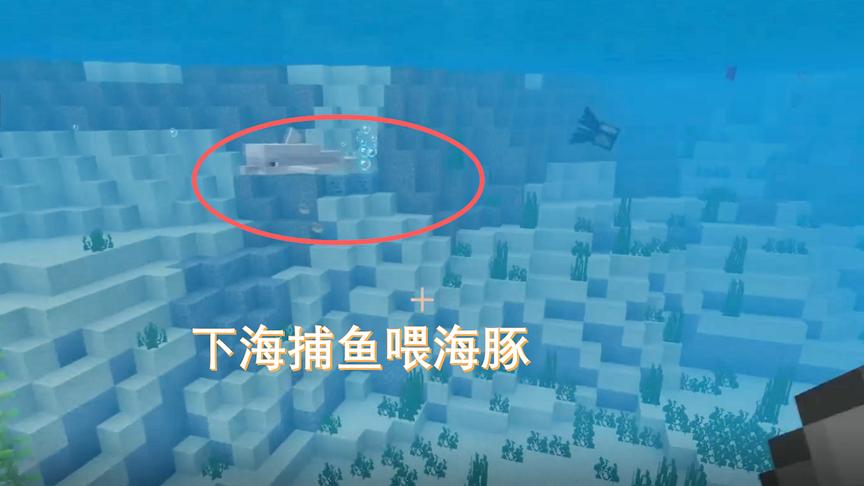 我的世界46：我费了九牛二虎之力才补了几条鱼，结果海豚却不吃