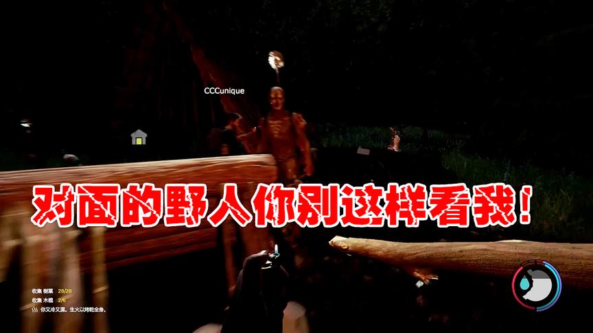 小林解说森林：在禁地建造家被原始人一个家族暴打