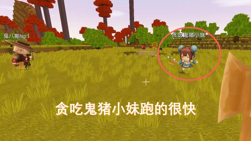 迷你世界联机01：贪吃的猪小妹一听说有吃的，跑的比兔子还快