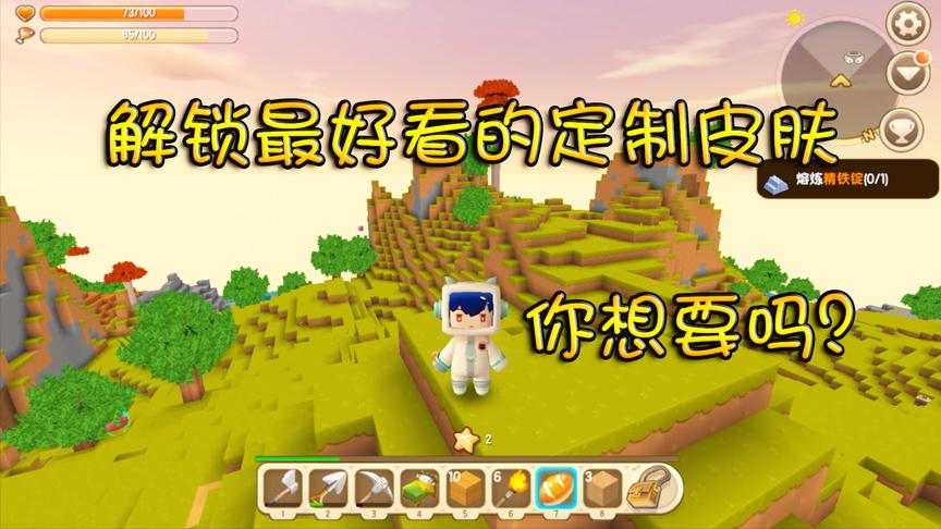 迷你世界：解锁了最好看的定制皮肤，粉丝们都喜欢！你想要吗？