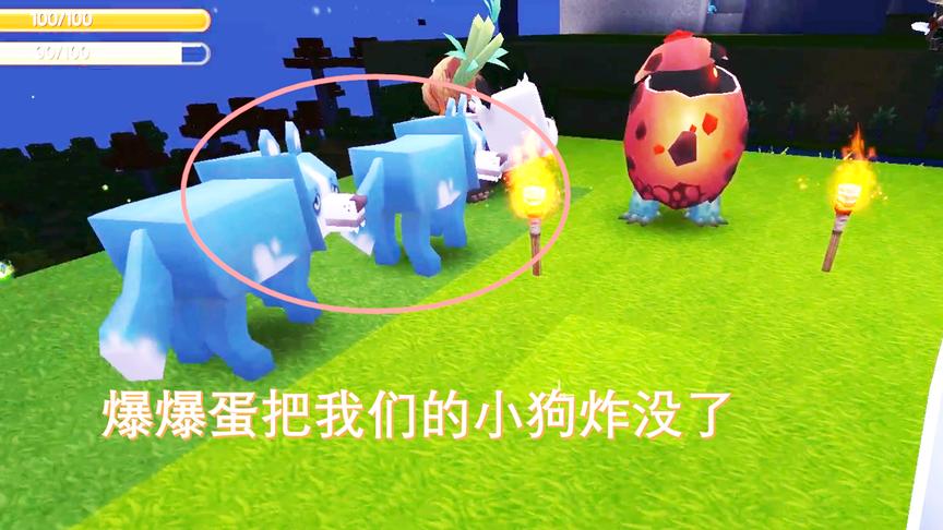 迷你世界联机09：猪小妹带回来的小狗，不小心被爆爆蛋炸没了