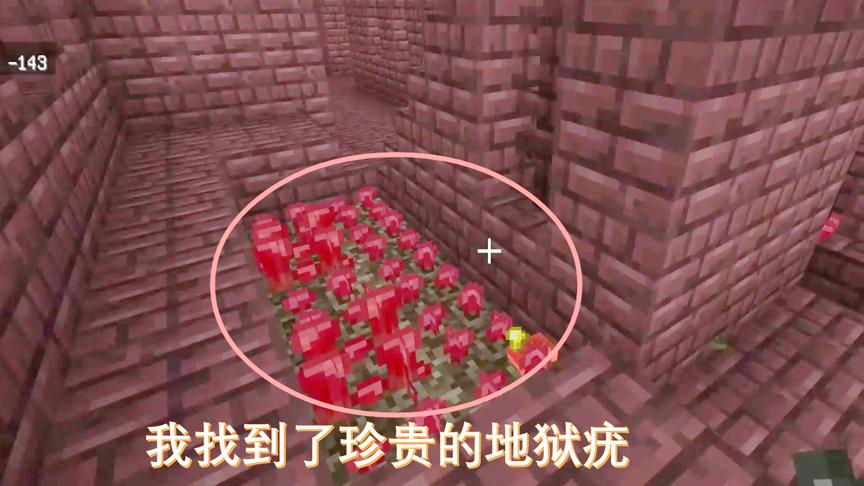 我的世界57：我探索地心城堡，找到了珍贵的地狱疣