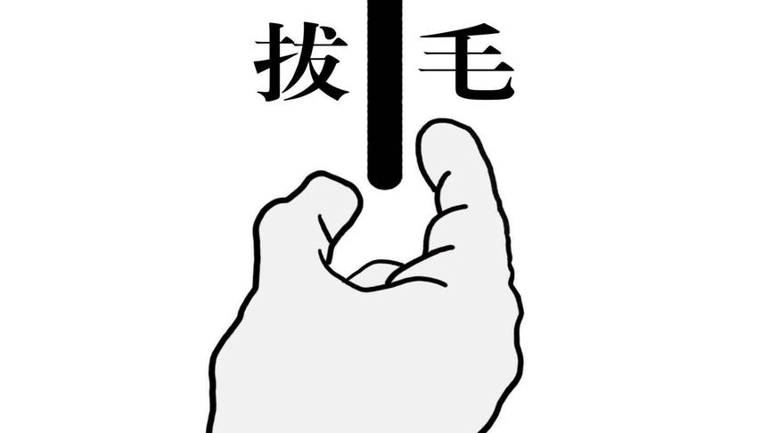 「小熙解说」拔毛模拟器 听说这是一个关于毛和情感的神奇游戏？