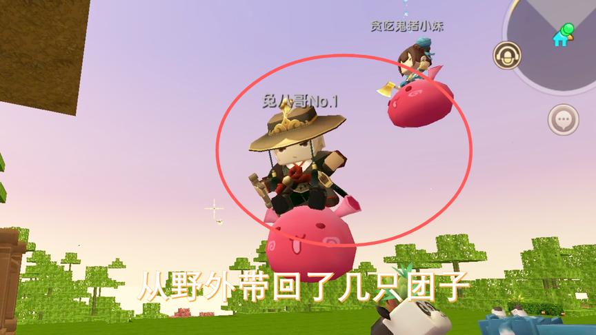 迷你世界联机15：猪小妹和兔八哥在后院，骑着团子比赛跳高