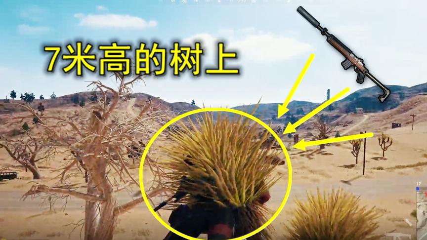 绝地求生：苦练30天，终于爬到七米高的树上，我把敌人狙的想哭