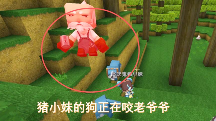 迷你世界联机21下：沙漠老爷爷没招惹猪小妹，却被她的狗咬了