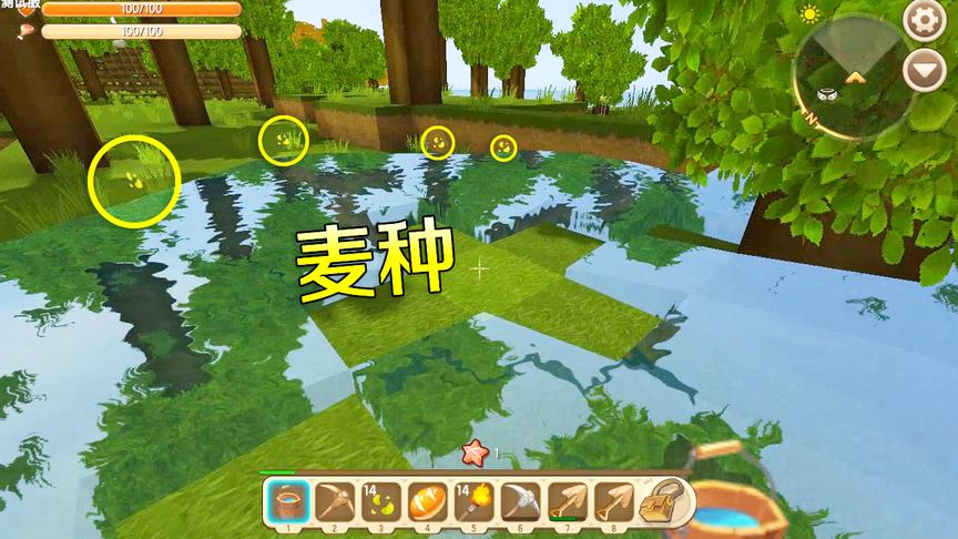 迷你世界：这是什么原理？用水冲过草地后，立即就会出现很多麦种