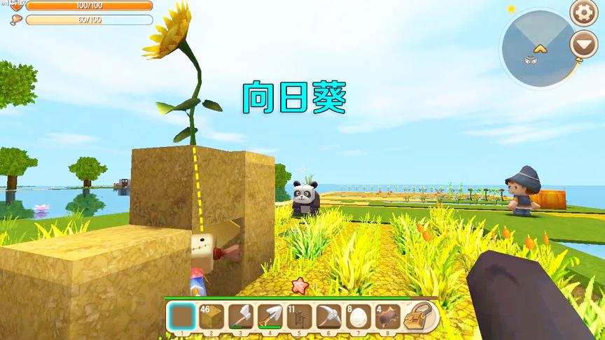 迷你世界：稻草人也有心上人，看它一直盯着向日葵，我都替它脸红