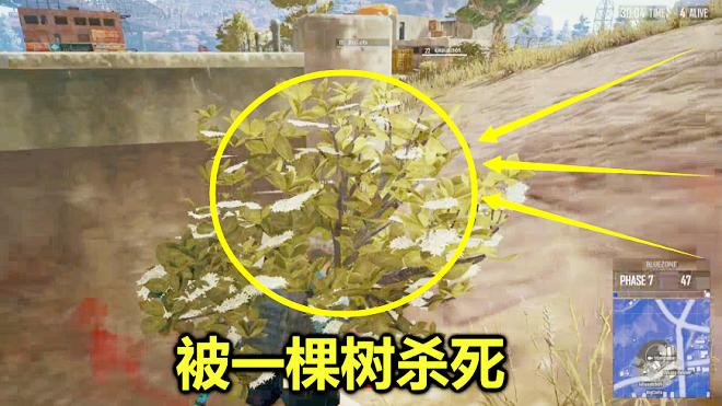绝地求生：即将吃鸡，下一秒却被传到圈外毒死，慢放10倍发现真相