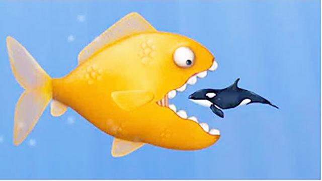 一条什么东西都能吃的鱼