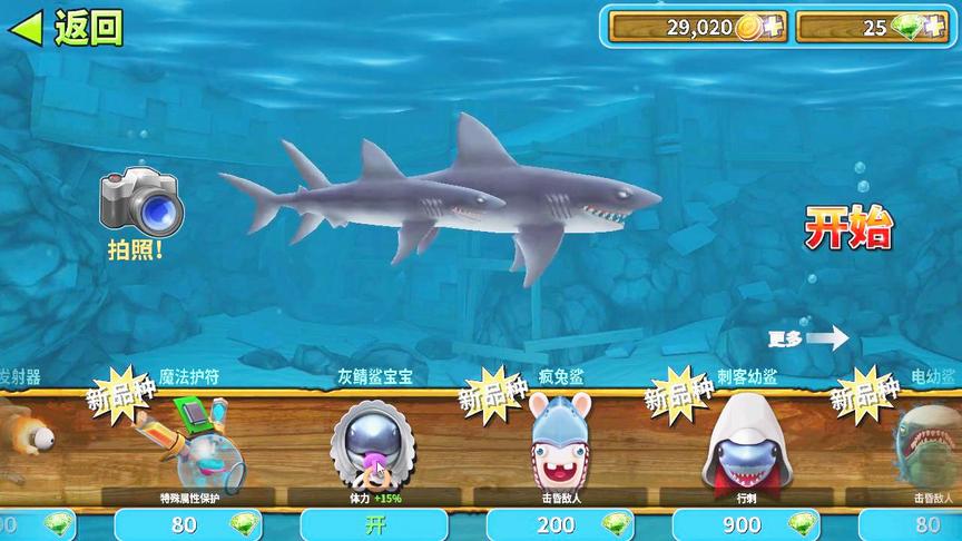 饥饿鲨进化：灰鲭鲨出击，还带着小鲨鱼