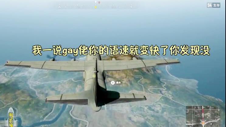 某幻绝地求生 姐弟共叙战场情，妹带吃鸡行不行