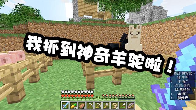我的世界生存27：没办法去下界就只能瞎探索，结果偶遇羊驼？