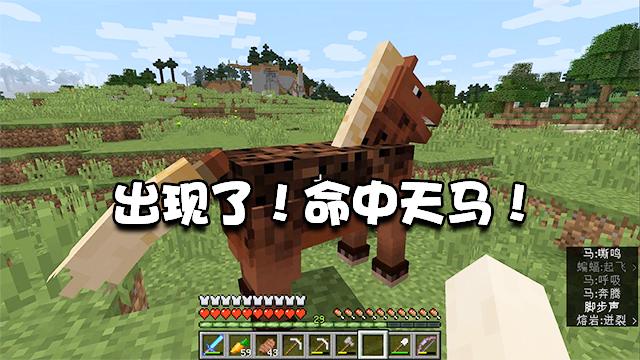 我的世界生存28：选马还是不能只要好看，我终于遇到了命中天马！