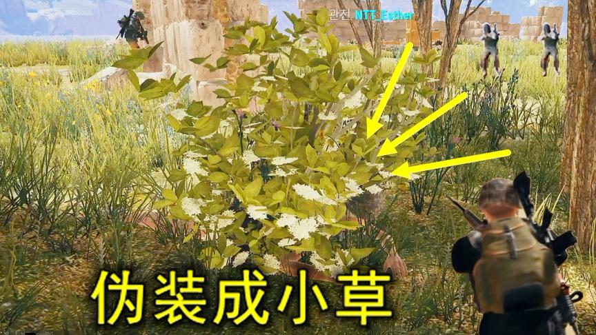 绝地求生：决赛圈伪装成一棵草，四个敌人贴身而过，都没发现我