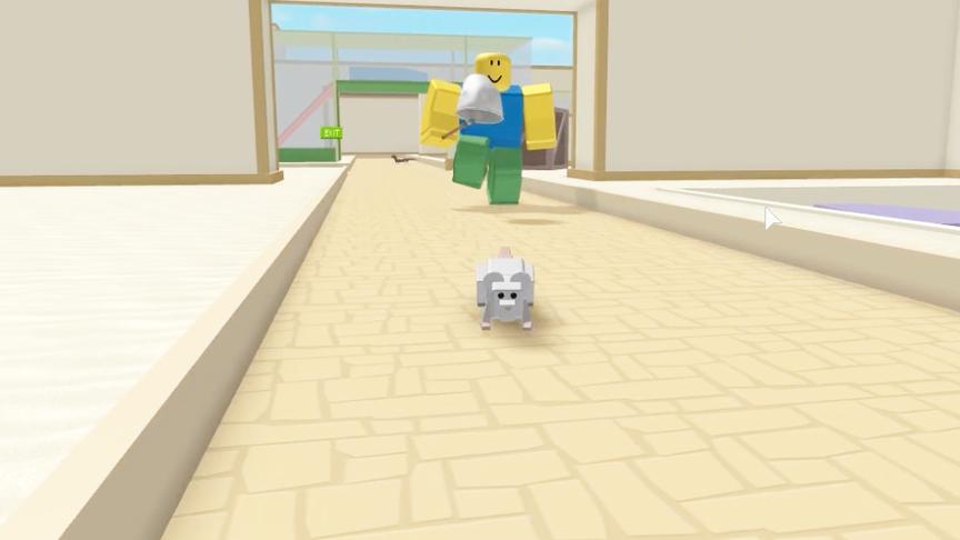 波波仔解说 roblox 宠物逃生：对不起！我以后再也不皮了！
