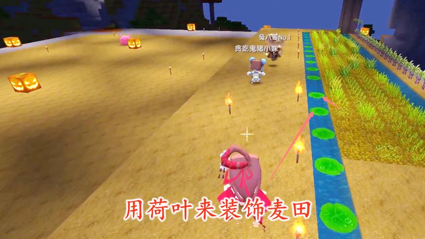 迷你世界联机38：我在野外找了很多荷叶，用来装饰家里的麦田