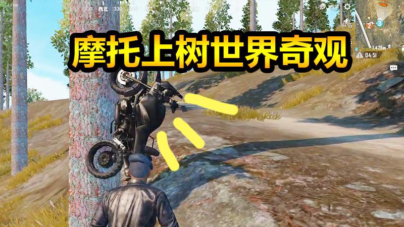 刺激战场：摩托车竟然会上树？！柚子看了都惊呆了！
