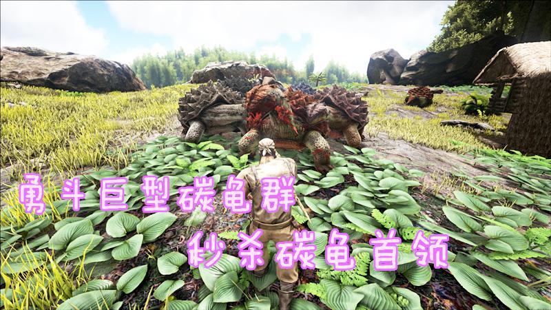《方舟》游戏剧4：惨遭碳龟群拆家，看我如何斗智斗勇！