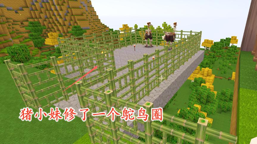 迷你世界联机48：猪小妹这次表现还不错，主动修了一个鸵鸟圈