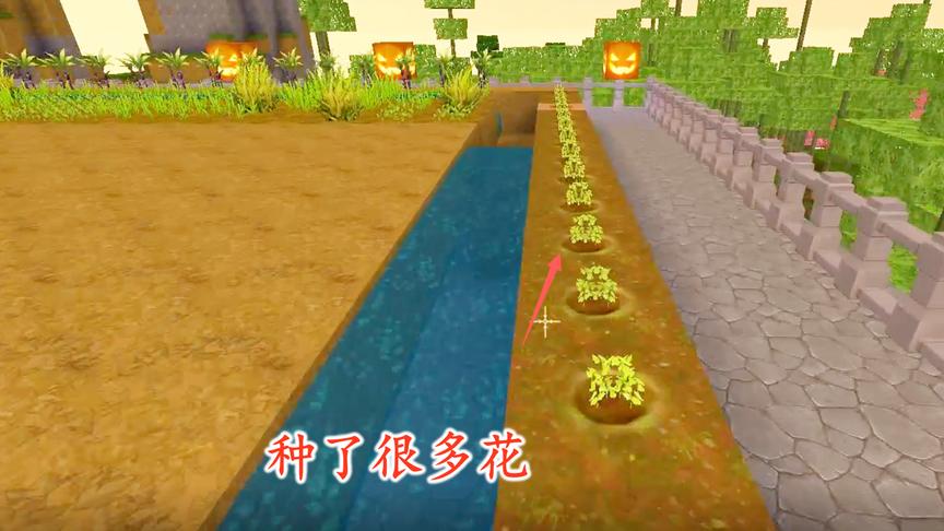 迷你世界联机54：我们在家整理家园，在后院种了一些花