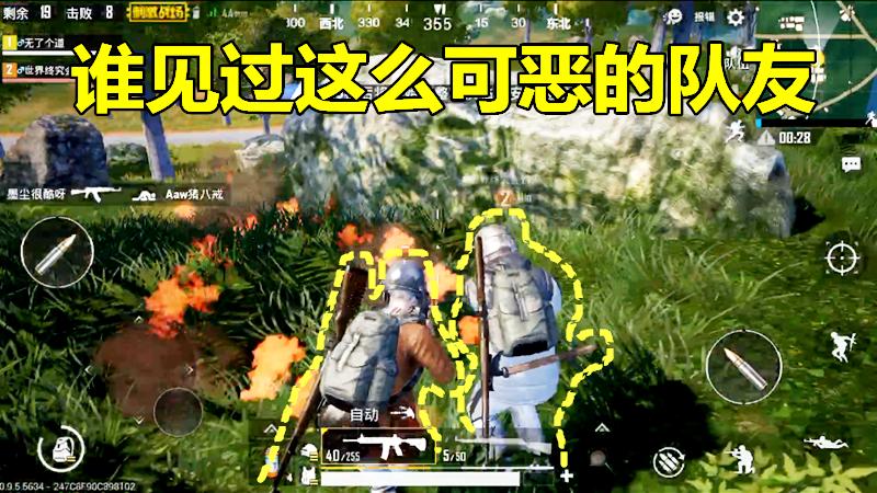 刺激战场：谁见过这么可恶的队友？朝我身上扔“燃烧弹”怎么回事