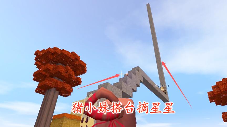 迷你世界联机62：我让猪小妹帮忙修台阶搭凉亭，她却要搭台摘星星