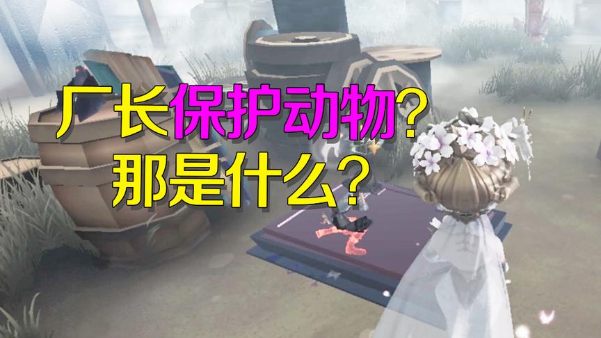 第五人格：厂长保护动物是什么？看红蝶这举动就明白了