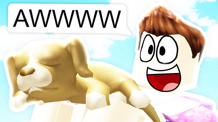 小飞象解说 Roblox宠物模拟器 我居然收养了小猪佩奇