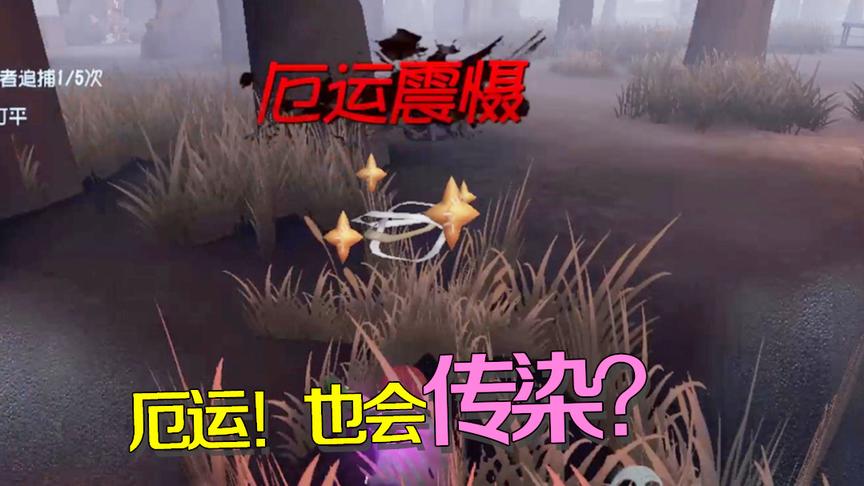 第五人格：高智商人会有好运吗？律师亲身证明智商和运气不成正比