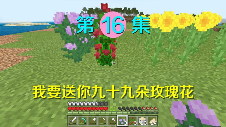 我的世界16：修建了一个百花园，遇到好看小姐姐就能送她99朵玫瑰