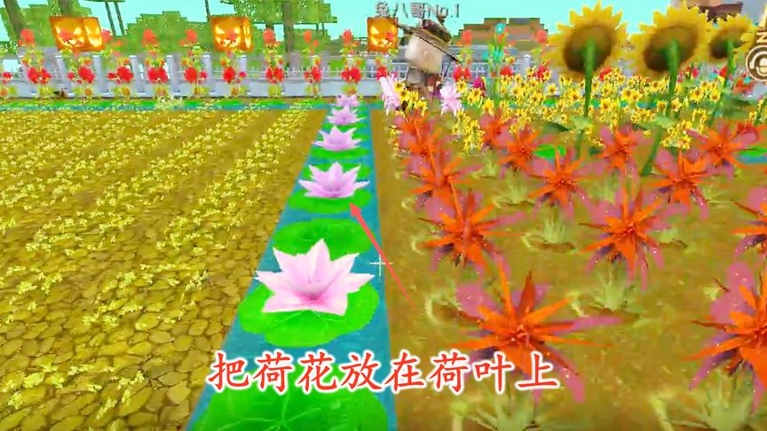 迷你世界联机86：粉红的荷花，在荷叶的衬托之下显得格外漂亮