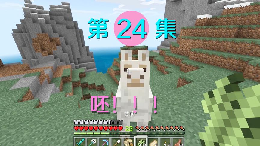 我的世界24：在高山顶发现一只羊驼，我机智的用这种办法带它回家