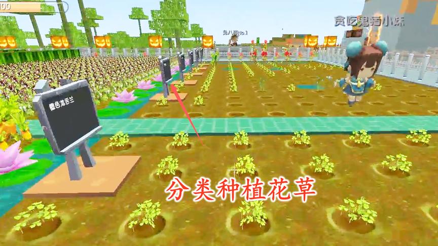 迷你世界联机95：听取粉丝们的建议，我把花园里的花做了一下分类
