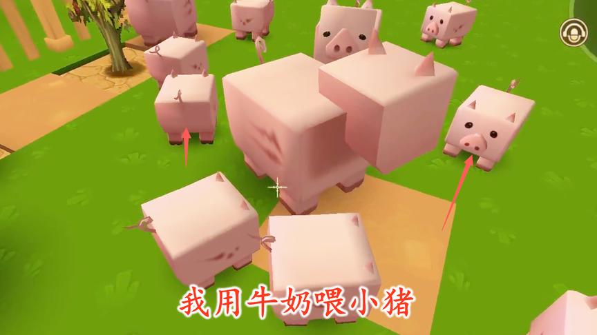 迷你世界联机96：我用收集来的牛奶喂猪宝宝，它们瞬间就长大了