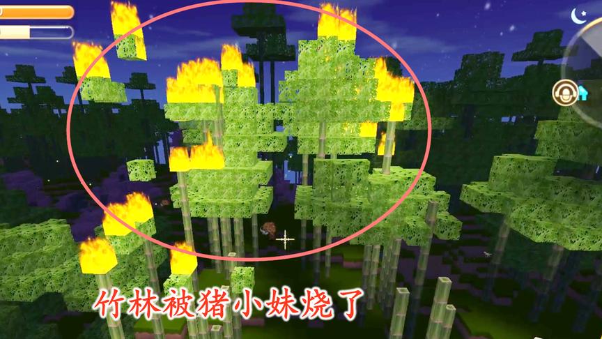 迷你世界联机100：猪小妹玩火，不小心把门前的竹林烧了