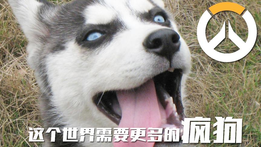 守望先锋：这才是六黑放狗阵容，一波配合集火把对面打傻了