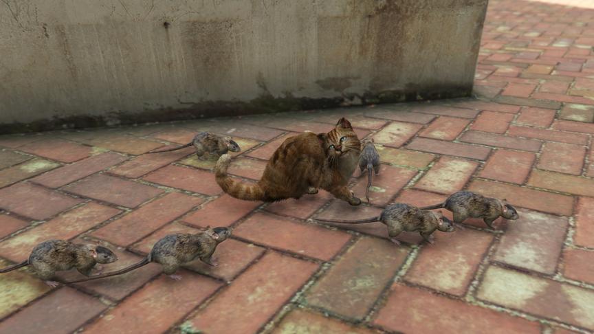 阿管：这窝老鼠竟然不怕猫，难道变异了