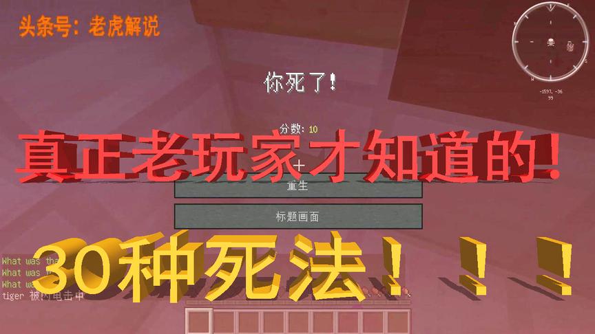 我的世界：史蒂夫的30种受伤致死方法，资深老玩家才全都知道！