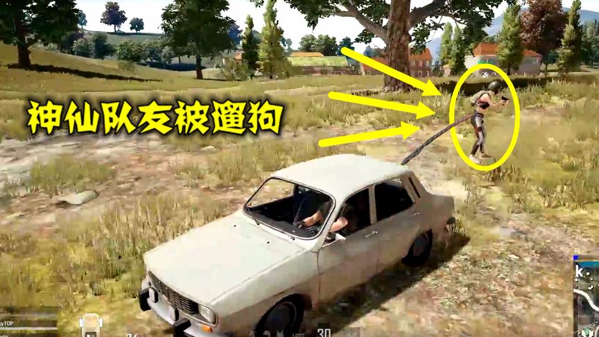 绝地求生：将开挂队友，绑在车后遛了半小时，把他直接玩哭了