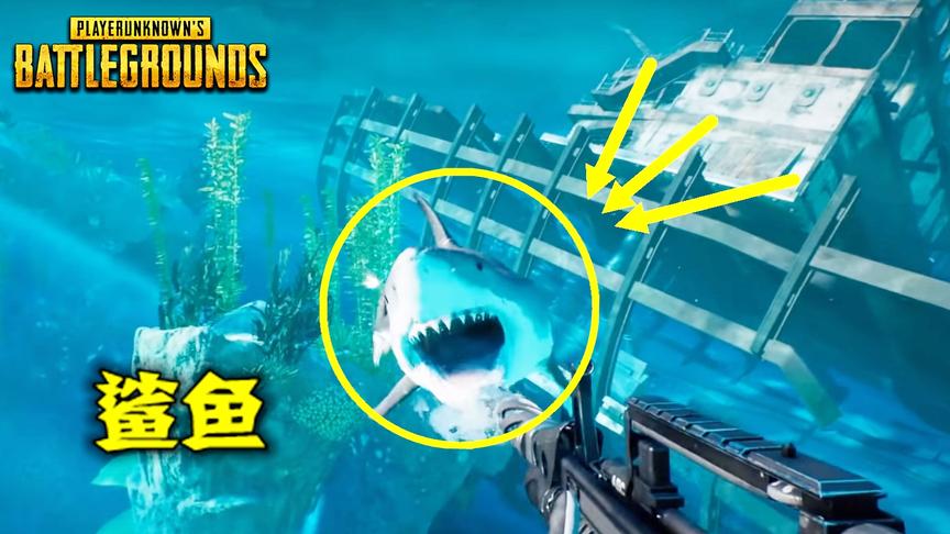 新版绝地求生：海洋模式曝光，拿着鱼叉，100个人在水里吃鸡